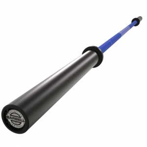 20kg Blue Olympic Bearing Barbell