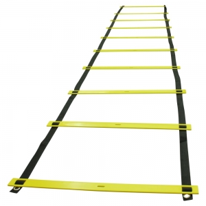 9m Ladder