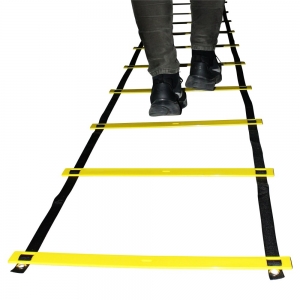 9m Ladder